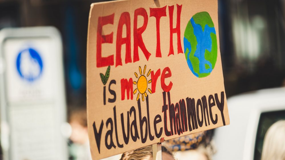 Climate demonstration sign. Photo.