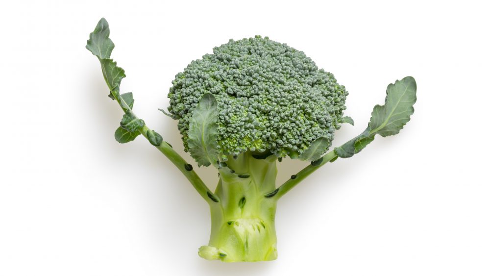 Broccoli looking like human raising its hands. Photo.
